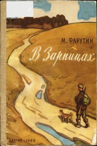В Зарницах - Михаил Никандрович Фарутин