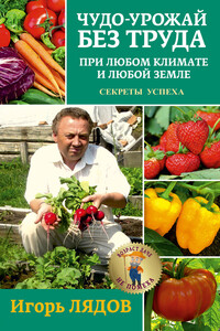 Чудо-урожай без труда - Игорь Владимирович Лядов