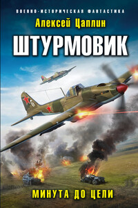 Минута до цели - Алексей Георгиевич Цаплин
