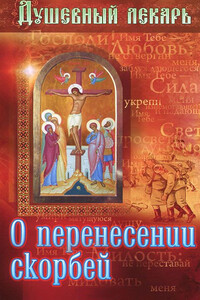 Душевный лекарь. О перенесении скорбей - Дмитрий Геннадьевич Семеник