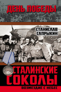 Сталинские соколы - Станислав Рудольфович Сапрыкин