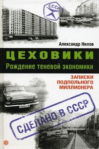 Цеховики. Рождение теневой экономики. Записки подпольного миллионера - Александр Нилов