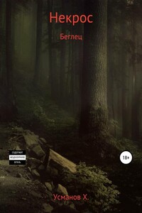 Беглец - Хайдарали Мирзоевич Усманов