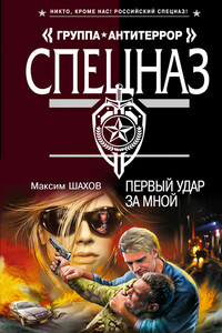 Первый удар за мной - Максим Анатольевич Шахов