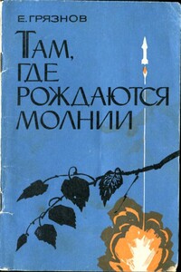 Там, где рождаются молнии - Евгений Николаевич Грязнов