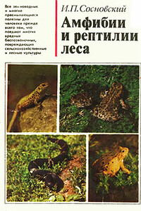 Амфибии и рептилии леса - Игорь Петрович Сосновский
