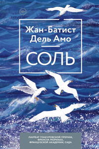 Соль - Жан-Батист Дель Амо