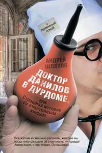 Доктор Данилов в дурдоме, или Страшная история со счастливым концом - Андрей Левонович Шляхов
