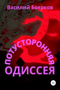 Потусторонняя одиссея - Василий Вячеславович Боярков