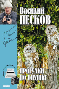 Прогулки по опушке - Василий Михайлович Песков
