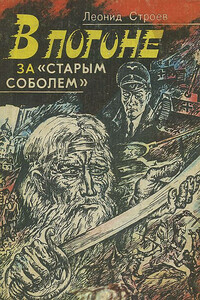 В погоне за «старым соболем» - Леонид Исаевич Строев