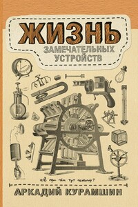 Жизнь замечательных устройств - Аркадий Искандерович Курамшин