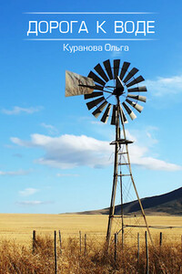 Дорога к воде - Ольга Куранова