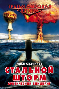 Стальной шторм. Арктический блицкриг - Илья Александрович Садчиков