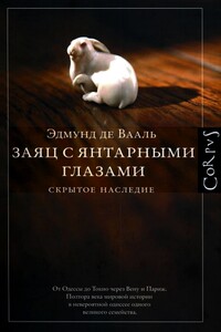 Заяц с янтарными глазами: скрытое наследие - Эдмунд де Вааль
