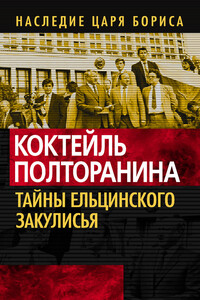 Коктейль Полторанина. Тайны ельцинского закулисья - Олег Владимирович Кашин, Александр Владимирович Островский