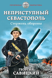 Стержень обороны - Георгий Валерьевич Савицкий