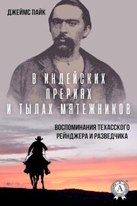В индейских прериях и тылах мятежников - Джеймс Пайк