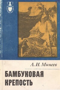 Бамбуковая крепость - Александр Иванович Минеев