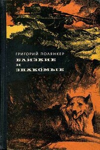 Городской сумасшедший - Григорий Исаакович Полянкер