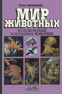 Беспозвоночные. Ископаемые животные - Игорь Иванович Акимушкин