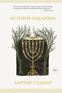 История иудаизма - Мартин Гудман