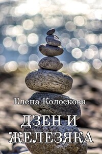 Дзен и железяка - Елена Леонидовна Колоскова