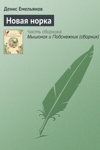 Новая норка - Денис Эдвардович Емельянов