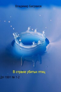 Страна убитых птиц - Владимир Игоревич Баграмов