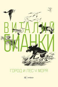 Город и лес у моря - Виталий Валентинович Бианки