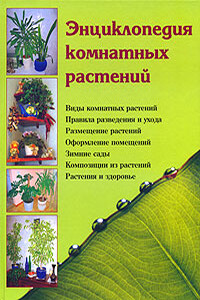 Энциклопедия комнатных растений - Наталья Брониславовна Шешко, Наталья Ивановна Логачева