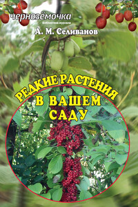 Редкие растения в вашем саду - Александр Михайлович Селиванов