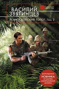 Ловите конский топот. Том 2. Кладоискатели - Василий Дмитриевич Звягинцев