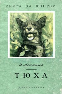 Тюха - Иван Андреевич Арамилев