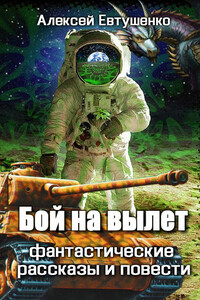 Бой на вылет - Алексей Анатольевич Евтушенко