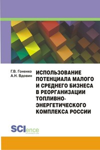 Использование потенциала малого и среднего бизнеса в реорганизации топливно-энергетического комплекса России. Монография - Даниил Вдадимирович Гоненко, Алексей Николаевич Вдовин