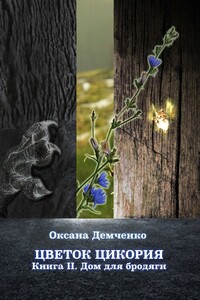 Дом для бродяги - Оксана Борисовна Демченко