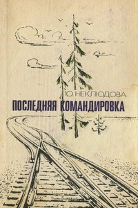 Последняя командировка - Ольга Сергеевна Неклюдова