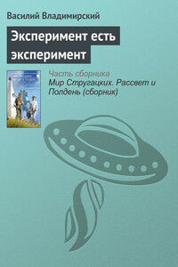 Эксперимент есть эксперимент - Василий Владимирский