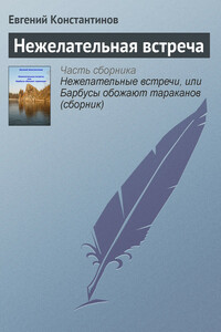 Нежелательная встреча - Евгений Михайлович Константинов
