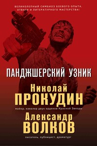 Панджшерский узник - Николай Николаевич Прокудин, Александр Иванович Волков
