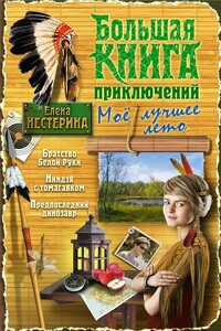 Большая книга приключений. Мое лучшее лето - Елена Вячеславовна Нестерина