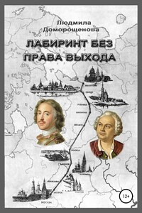 Лабиринт без права выхода. Книга 1. Загадки Ломоносова - Людмила Георгиевна Доморощенова