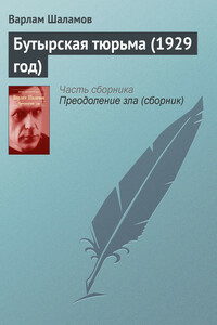 Бутырская тюрьма (1929 год) - Варлам Тихонович Шаламов