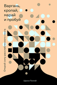 Варгань, кропай, марай и пробуй - Шрини Пиллэй