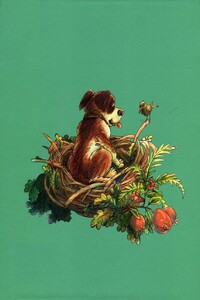 Дом на дереве - Бьянка Питцорно