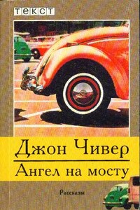 Ангел на мосту - Джон Чивер