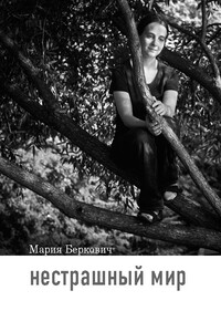 Нестрашный мир - Мария Борисовна Беркович
