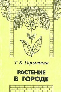 Растение в городе - Тамара Константиновна Горышина