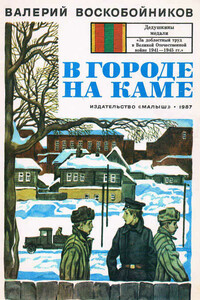В городе на Каме - Валерий Михайлович Воскобойников